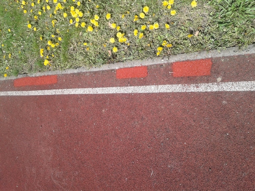 2016-04-21 12.23.26.jpg
